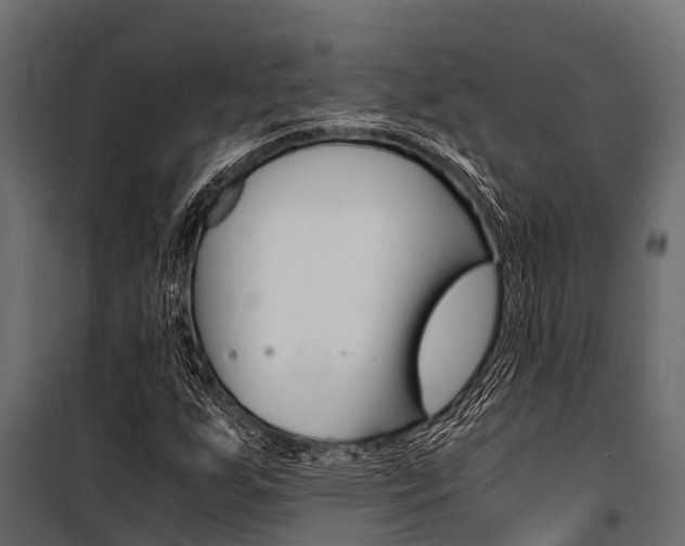 X0000100941255200806241154