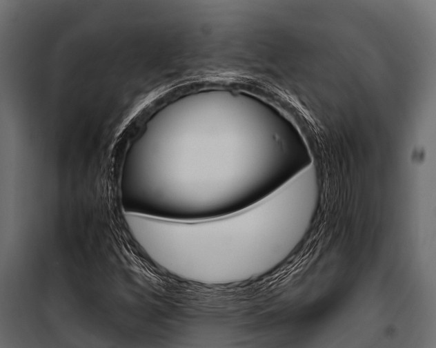 X0000100941256200806241154