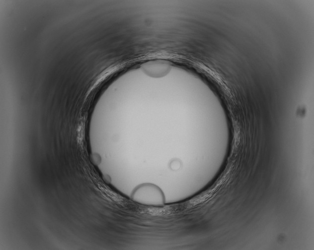 X0000100941258200806241154