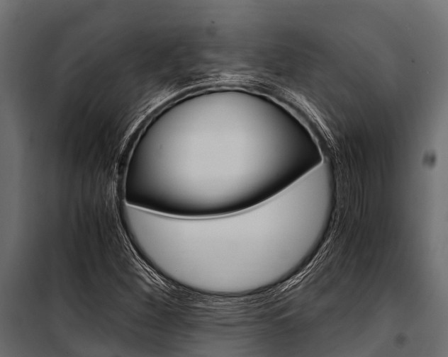 X0000100941260200806241154