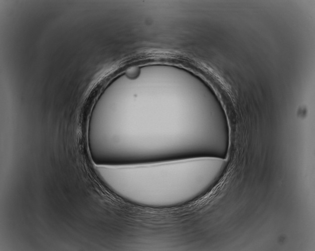 X0000100941261200806241154