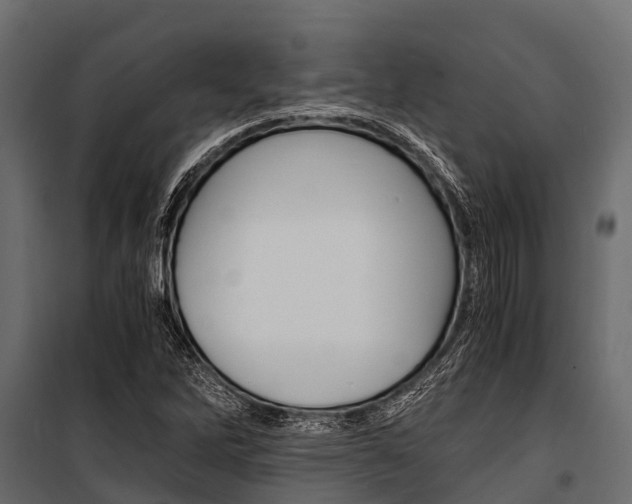 X0000100941262200806241154