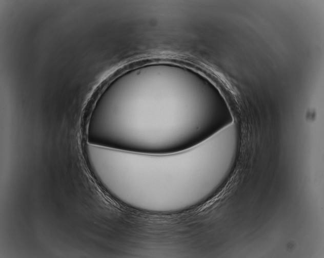 X0000100941264200806241154