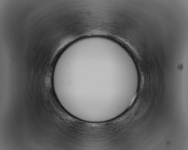 X0000100941266200806241154