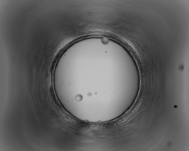 X0000100941267200806241154