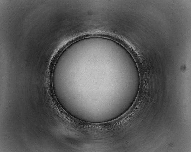 X0000100941270200806241153