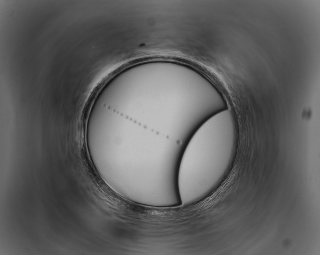 X0000100941271200806241153