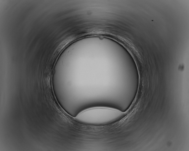 X0000100941273200806241153
