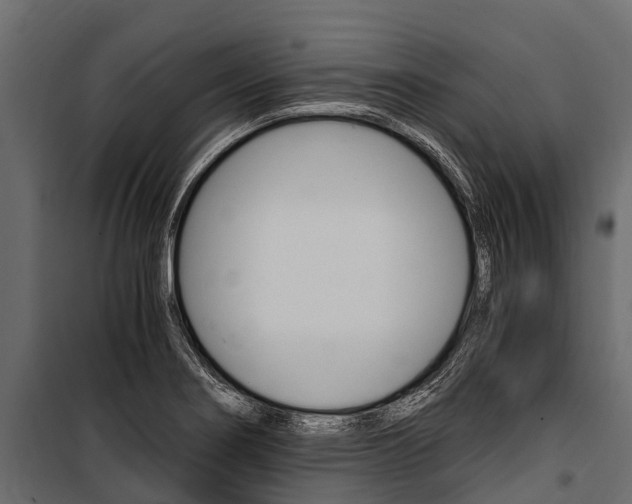 X0000100941274200806241153