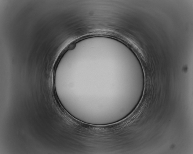 X0000100941275200806241153