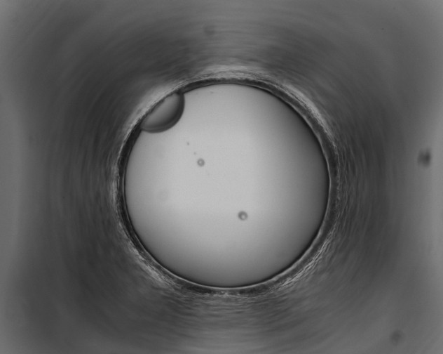 X0000100941277200806241153