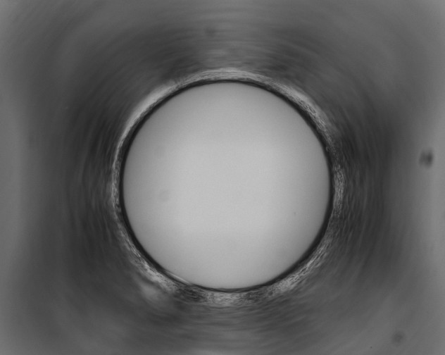 X0000100941278200806241153