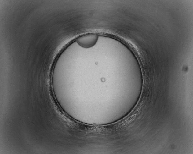 X0000100941279200806241153