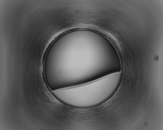 X0000100941280200806241153
