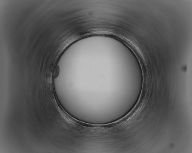 X0000100941281200806241153