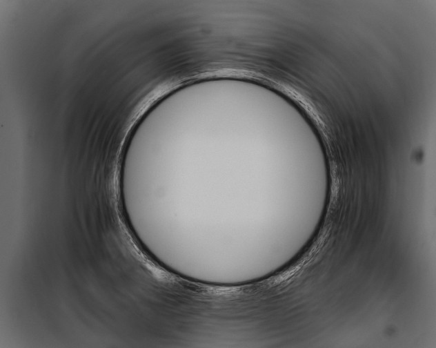 X0000100941282200806241153