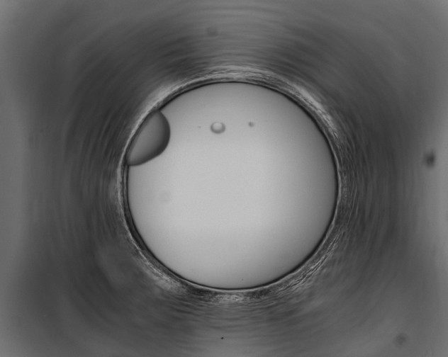 X0000100941283200806241153