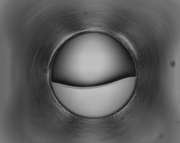X0000100941284200806241153