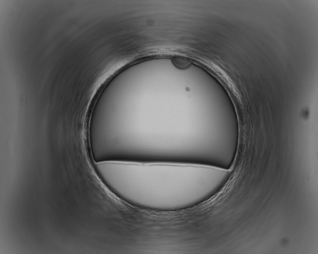 X0000100941285200806241153