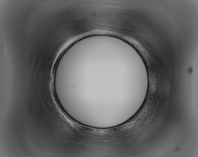 X0000100941286200806241153