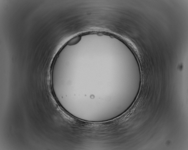 X0000100941287200806241153