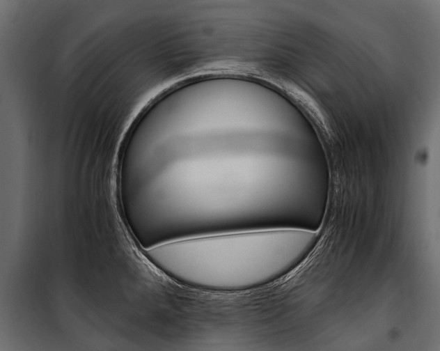 X0000100941288200806241153