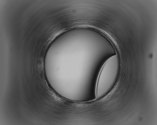 X0000100941289200806241153