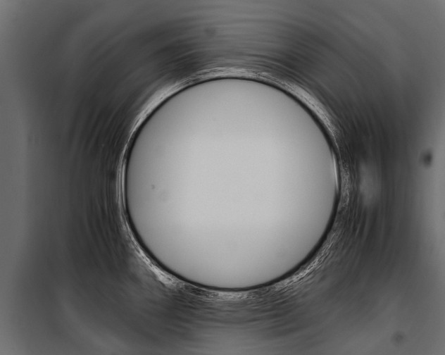 X0000100941290200806241153
