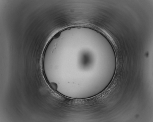 X0000100941291200806241153