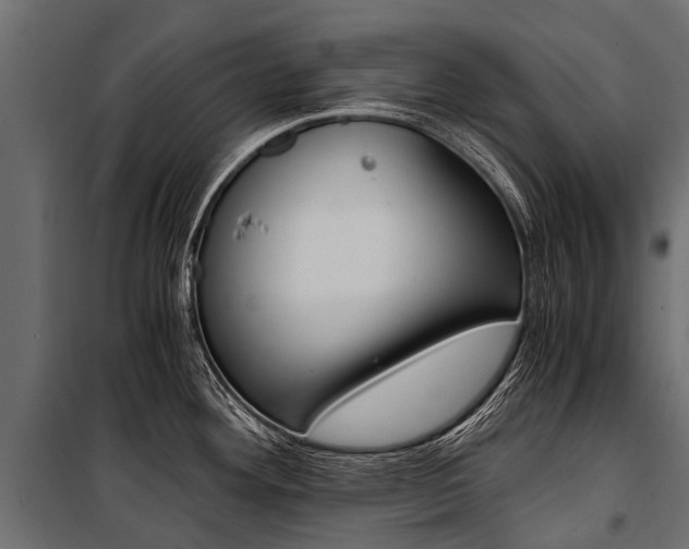 X0000100941292200806241153