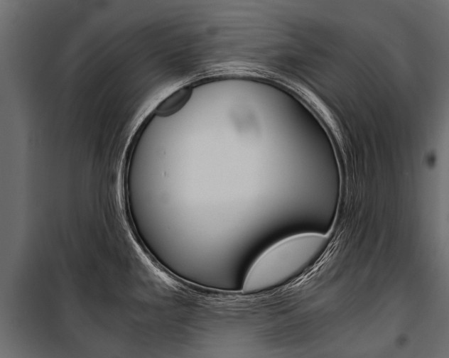 X0000100941293200806241153