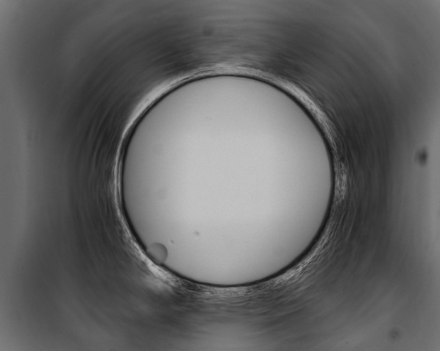 X0000100941294200806241153