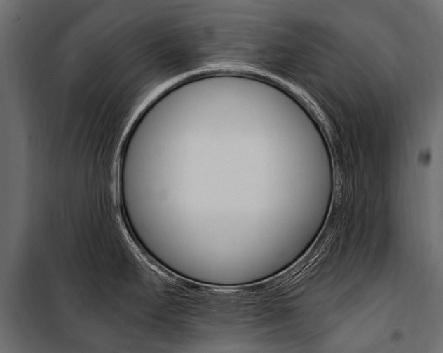 X0000100941295200806241153