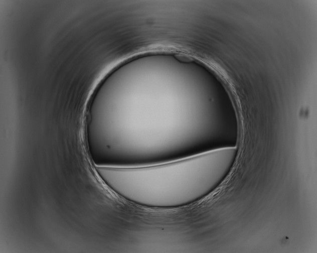 X0000100941296200806241153