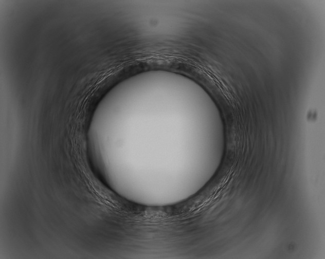 X0000100941297200806241152