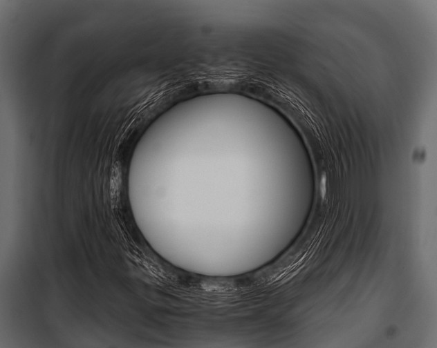 X0000100941299200806241152