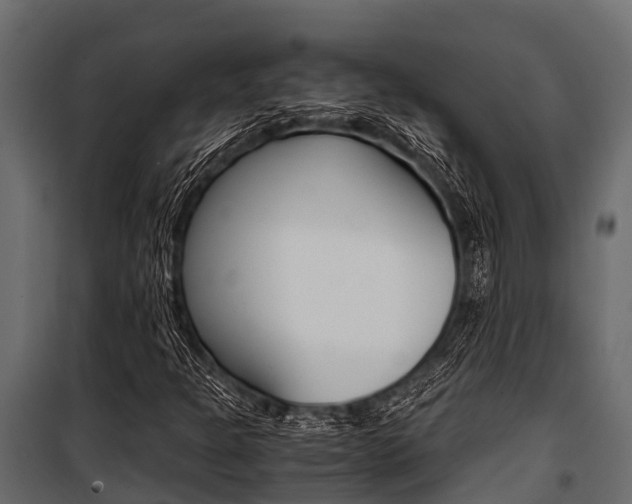 X0000100941301200806241152