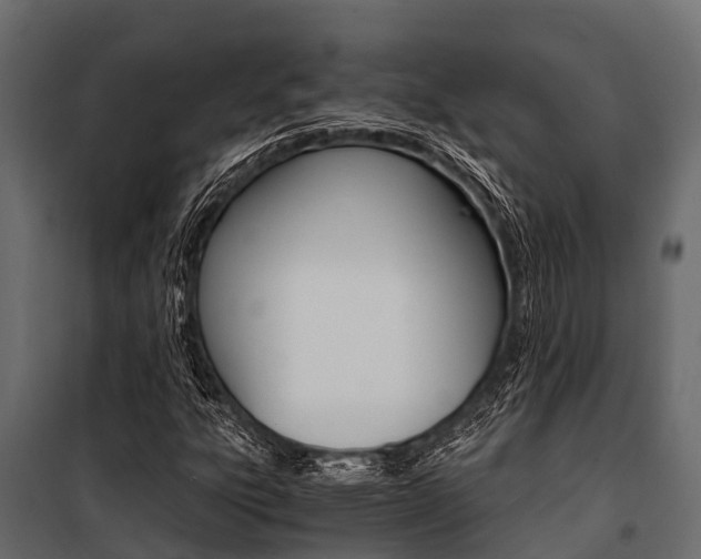 X0000100941303200806241153