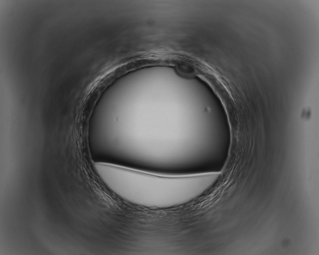 X0000100941304200806241153