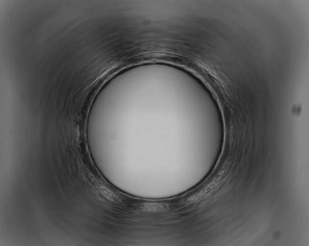 X0000100941305200806241153