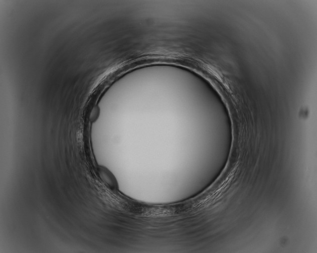 X0000100941307200806241153