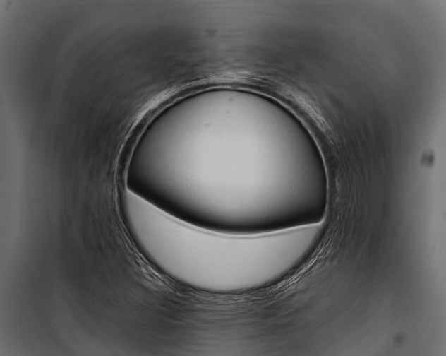 X0000100941308200806241153