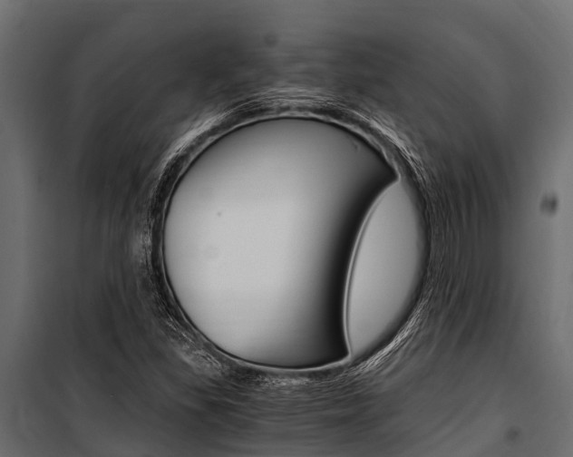 X0000100941309200806241153