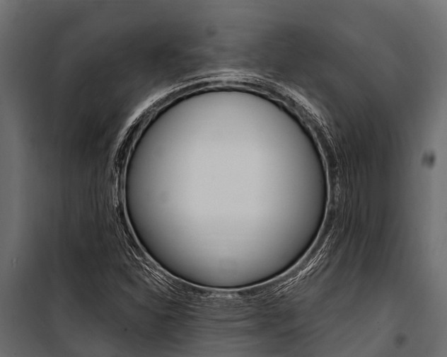 X0000100941310200806241153