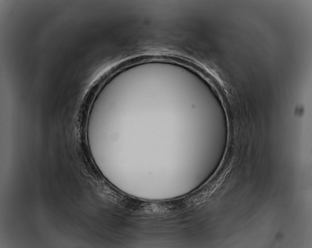 X0000100941311200806241153