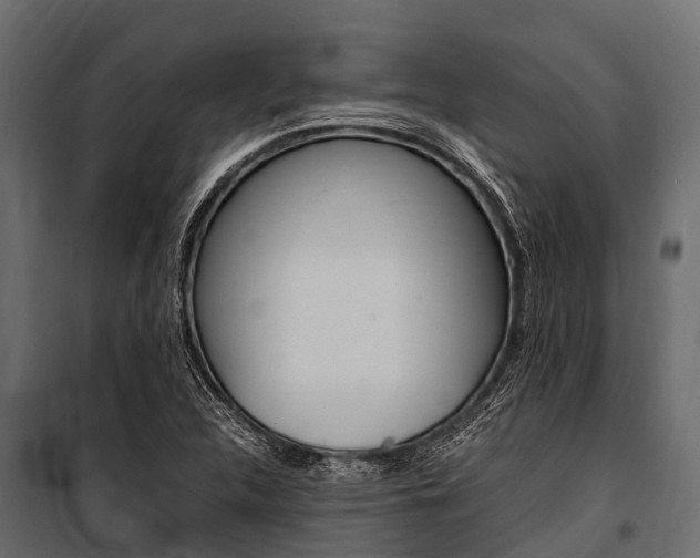X0000100941312200806241153