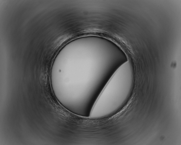 X0000100941313200806241153