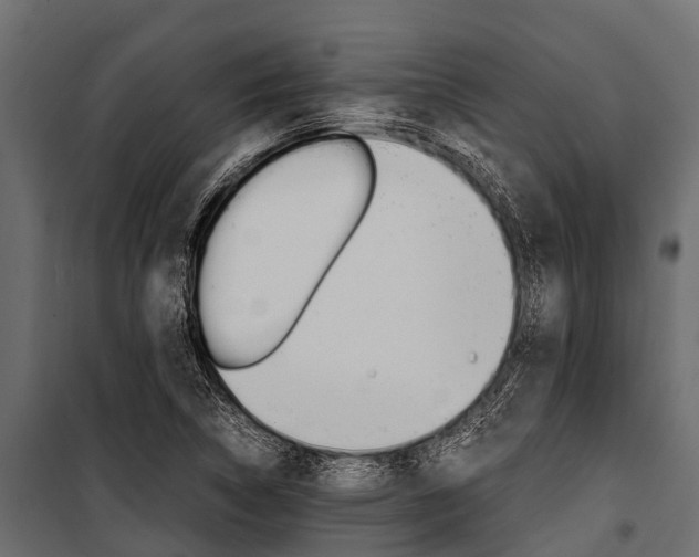 X0000100941314200806241153