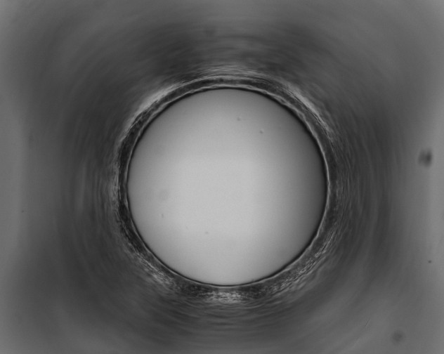 X0000100941315200806241153