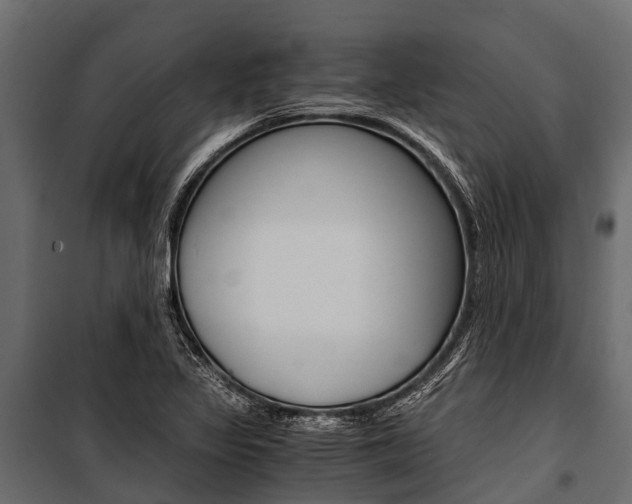 X0000100941317200806241153